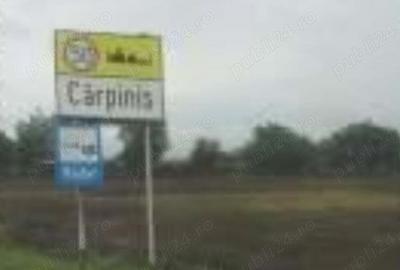 Spațiu comercial, în Cărpiniș - 33