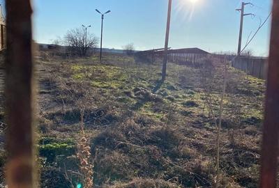 Teren de 1200 mp, în Cornetu - 3