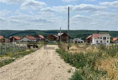 Teren de 528 mp, în Betfia - 3