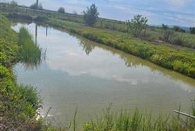 Casă individuală cu 4 camere cu Teren 2400 Mp în Osoi (Comarna) - 8