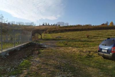 Teren Construcții intravilan de 2490 mp, în Voila - 2