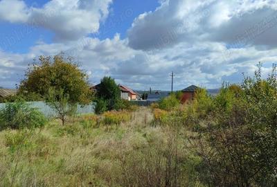 Teren de 1100 mp, în Ierbuș - 5