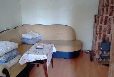 Casă cu 3 camere cu Teren 3780 Mp în Lădești - 1