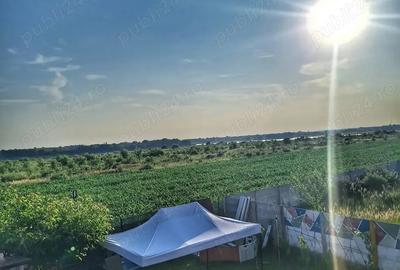 Vand casa Crevedia - 2