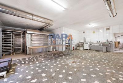 Spațiu industrial, de 380 mp, în Pildești - 8