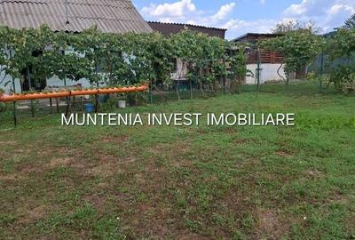 Casă cu 3 camere în Broșteni - 1