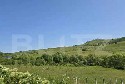 Teren de 1100 mp, în Sălicea - 5