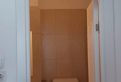 Apartament cu 2 camere decomandat, mobilat în Dristor - 12
