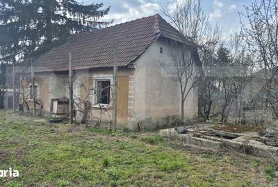 Casă cu 2 camere cu Teren 1399 Mp în Micula - 1