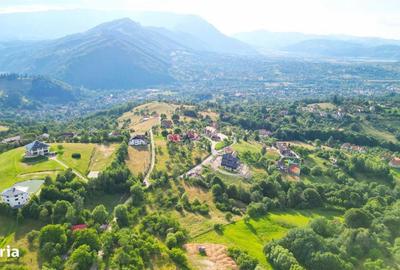 Spațiu comercial, în Sohodol - 11