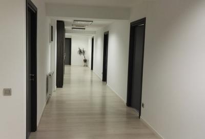 Birou, 270 mp în Dristor