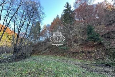 Teren 2.882 mp – oportunitate investitie - Cheile Dâmbovicioarei - 17