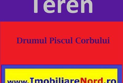 Teren Construcții intravilan de 2000 mp, în Băneasa - 3