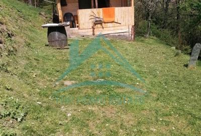 Casă individuală cu 1 camere cu Garaj în Băișoara - 7