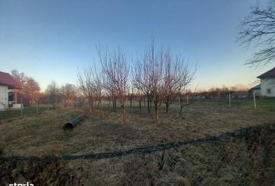 Spațiu comercial, în Merișor - 3