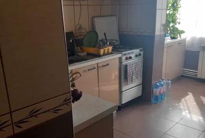 Apartament cu 3 camere in Siderurgistilor Vest - 4