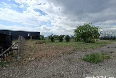 Teren de 722 mp, în Mărăcineni - 2