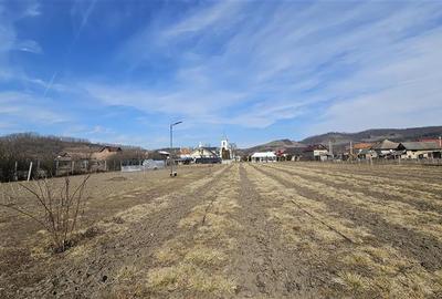 Casă individuală cu 3 camere cu Teren 5800 Mp în Fodora - 2