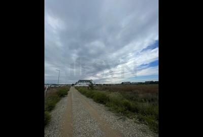 Teren de Otopeni Lidl Teren de Otopeni Lidl - 4