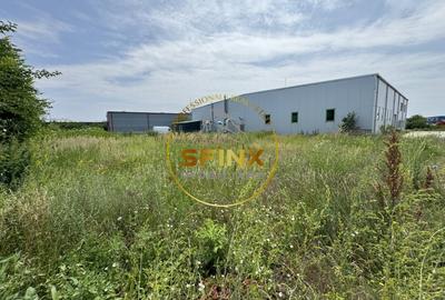 Hala si birouri zona Mogosoaia sos Odai - 14