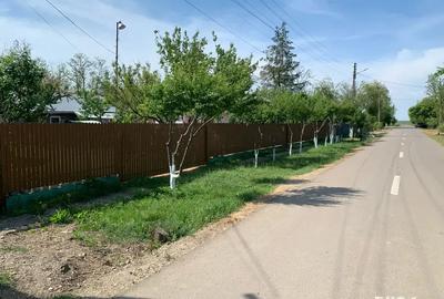 Vand Casa - Filipesti, Jud.Braila Vand Casa - Filipesti, Jud.Braila - 3