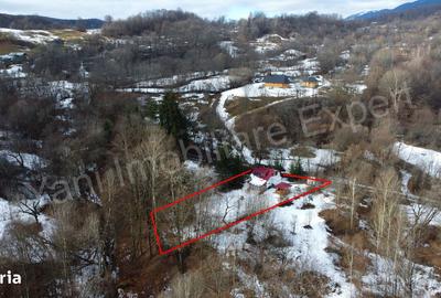 Casă cu 4 camere cu Teren 1435 Mp în Bradu - 7