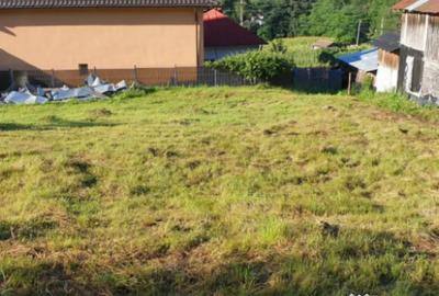 Teren de 7000 mp, în Ștubeie Tisa - 15