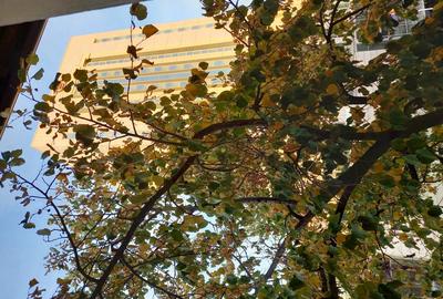 Apt 3 4 ultracentral sector 1 Sheraton ASE - 4