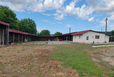 Casa parter si teren in zona Cretesti, Vaslui - 3