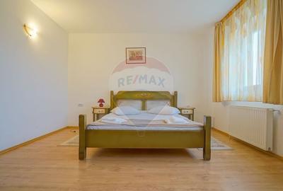 Hotel/Pensiune, de 2,950 mp, în Pănicel - 18