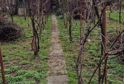 Vand casa 4 camere Vand casa 4 camere - 3