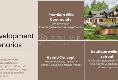 Teren cu potențial multiplu de dezvoltare - Corunca, E60, 17.000 mp - 5