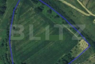 Teren de 21450 mp, în Turda - 9