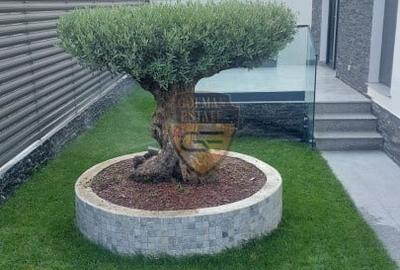 Vila Navodari, P+1, 2024 - 2