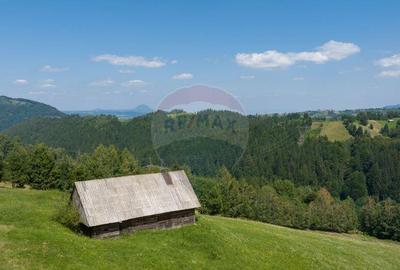 Teren Panoramic in Bran Vedere spre Bucegi & Piatra C... - 8