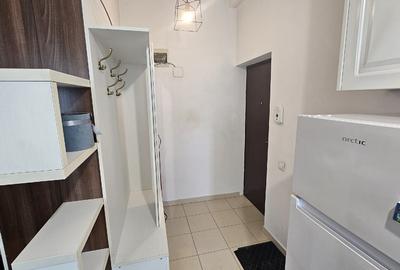 Garsonieră, mobilată în 1 Decembrie 1918 - 10