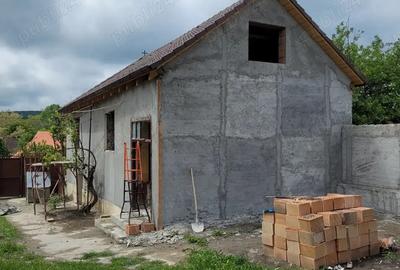 Casa de vanzare la tara - 8