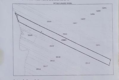 Teren de 27500 mp, în Belciugatele - 7