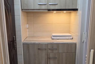Garsonieră decomandată în Alexandru cel Bun
