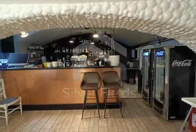 Restaurant Ultracentral | Trafic Pietonal Intens - 2