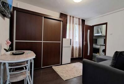 Garsonieră în Pantelimon - 8