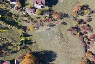 Teren de Vis in Bran - 1000mp Plat, Liniste Absoluta si Aer Curat - 2