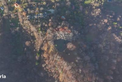 Spațiu comercial, în Schei - 2