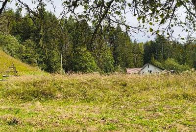 Teren de 4080 mp, în Valea Doftanei