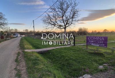 Casă individuală cu 3 camere cu Teren 8658 Mp în Scoarța - 9