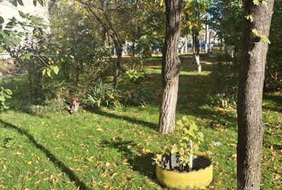 2Camere Patelimon Morarilor Parcul Florilor 2Camere Patelimon Morarilor Parcul Florilor - 16