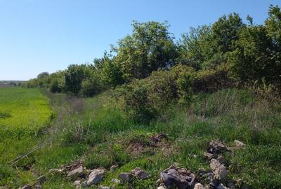 Teren Construcții extravilan de 4881 mp, în Corbeanca Teren Construcții extravilan de 4881 mp, în Corbeanca - 6