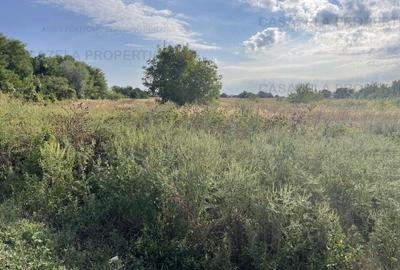 Teren 5.078 mp km 30 Bucuresti-Pitesti- 26.500 eur - 1