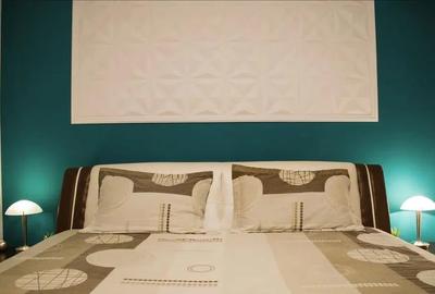 Apartament cu 2 camere decomandat, mobilat în P-ța Romană - 4