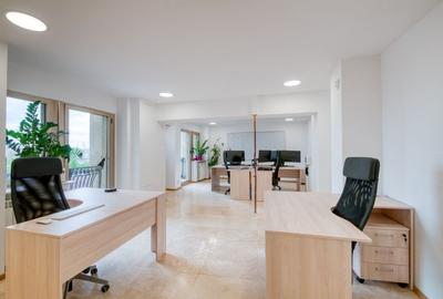 Unirii - Piata Alba Iulia, Rond, Spatiu de birouri, 230 mp - 7